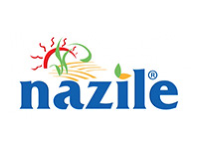 Nazile